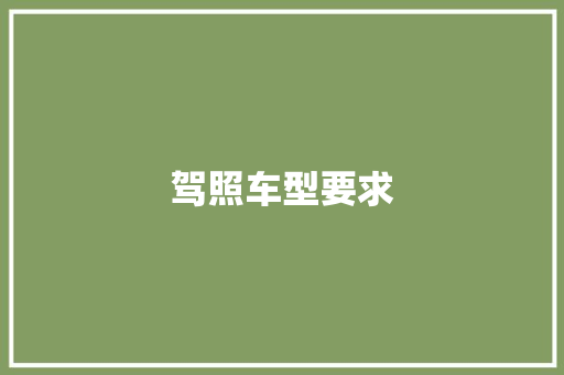 驾照车型要求
