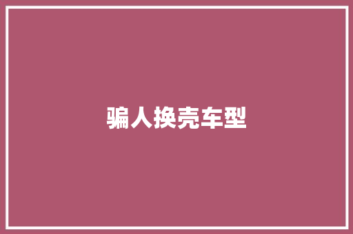 骗人换壳车型