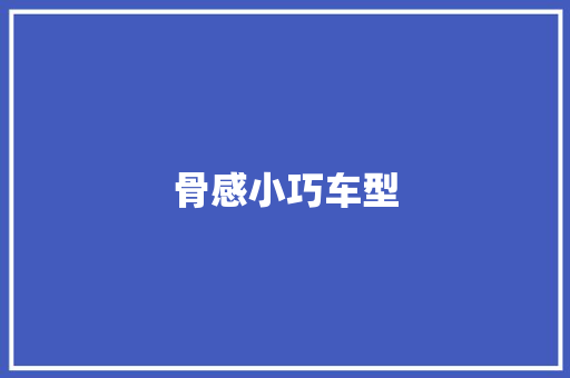 骨感小巧车型