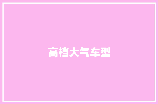 高档大气车型