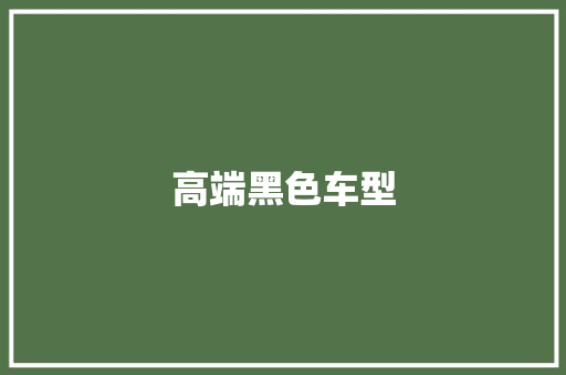 高端黑色车型