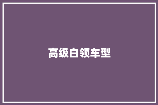 高级白领车型 车灯配件
