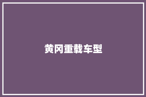 黄冈重载车型
