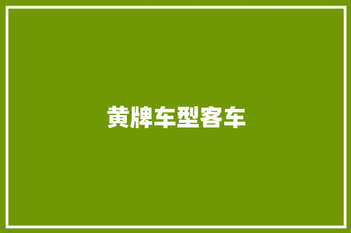 黄牌车型客车