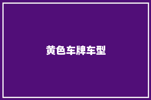 黄色车牌车型 车身配件