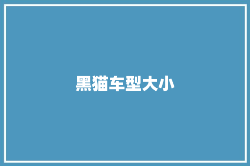 黑猫车型大小 变速箱配件