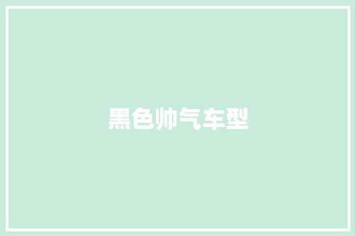 黑色帅气车型