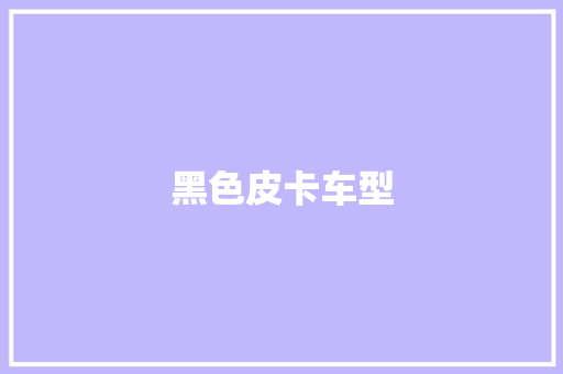 黑色皮卡车型