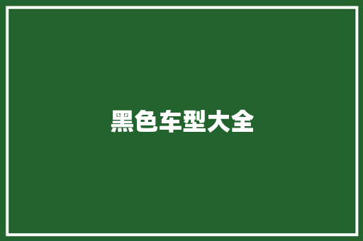 黑色车型大全