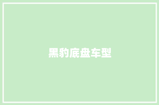 黑豹底盘车型
