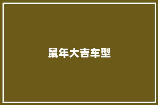 鼠年大吉车型