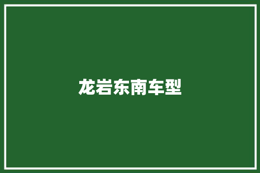龙岩东南车型