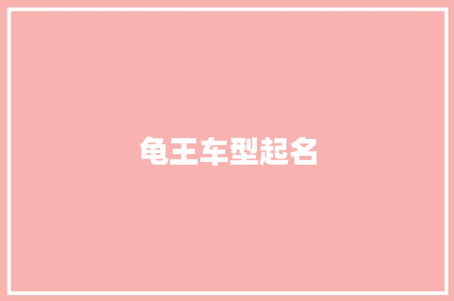 龟王车型起名