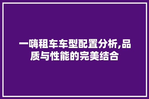 一嗨租车车型配置分析,品质与性能的完美结合