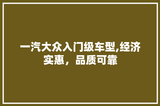一汽大众入门级车型,经济实惠，品质可靠