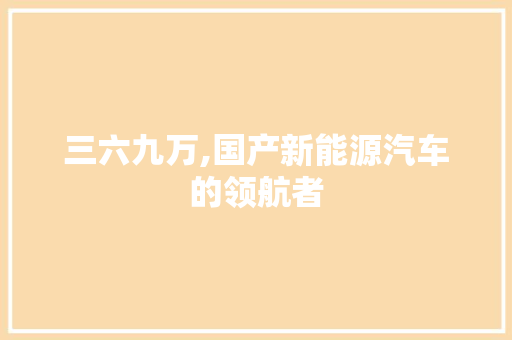 三六九万,国产新能源汽车的领航者