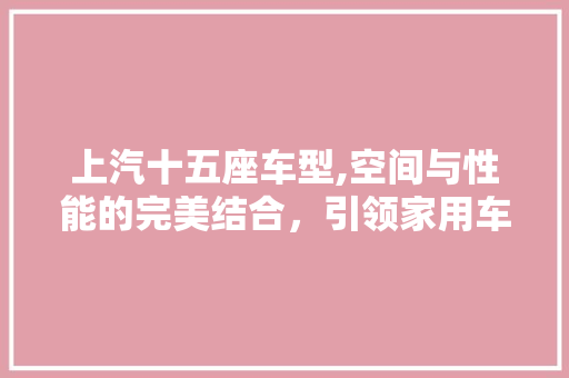 上汽十五座车型,空间与性能的完美结合，引领家用车新潮流