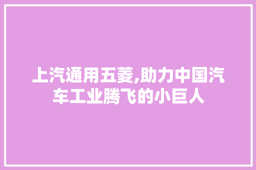 上汽通用五菱,助力中国汽车工业腾飞的小巨人