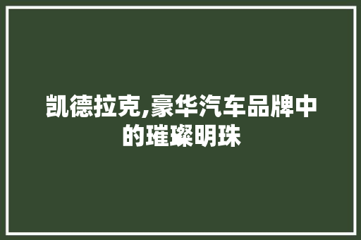 凯德拉克,豪华汽车品牌中的璀璨明珠