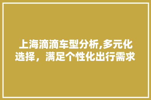 上海滴滴车型分析,多元化选择，满足个性化出行需求