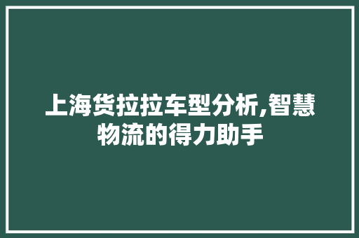 上海货拉拉车型分析,智慧物流的得力助手