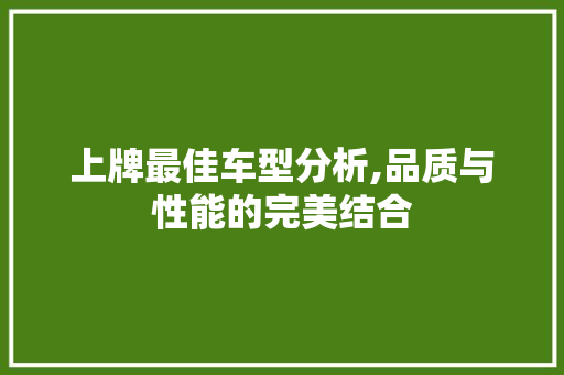 上牌最佳车型分析,品质与性能的完美结合