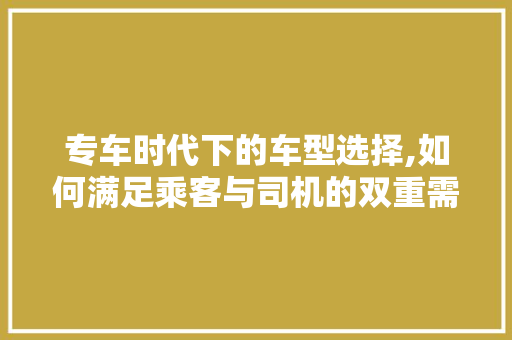 专车时代下的车型选择,如何满足乘客与司机的双重需求