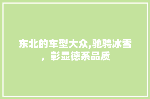 东北的车型大众,驰骋冰雪，彰显德系品质