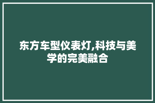 东方车型仪表灯,科技与美学的完美融合 车灯配件