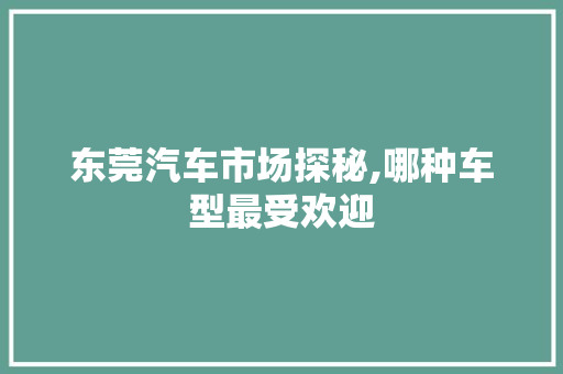 东莞汽车市场探秘,哪种车型最受欢迎