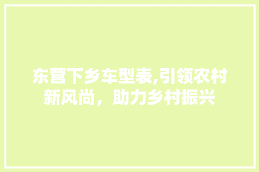 东营下乡车型表,引领农村新风尚，助力乡村振兴