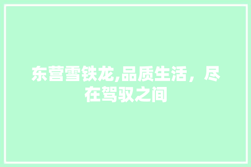 东营雪铁龙,品质生活，尽在驾驭之间