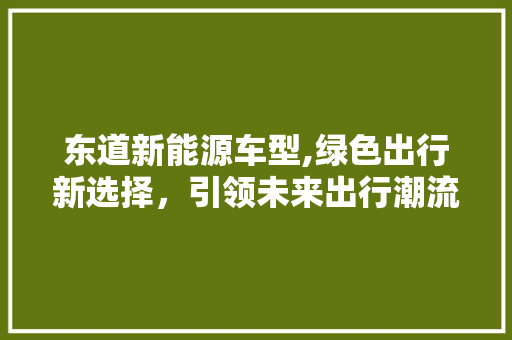 东道新能源车型,绿色出行新选择，引领未来出行潮流