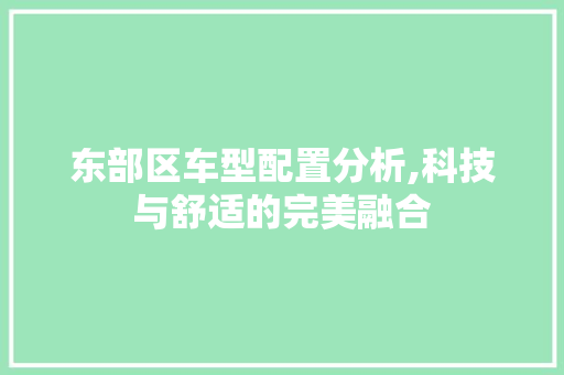 东部区车型配置分析,科技与舒适的完美融合