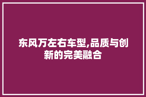 东风万左右车型,品质与创新的完美融合