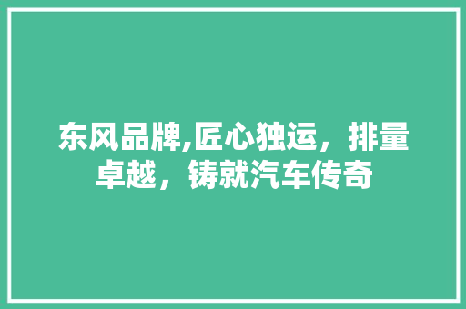 东风品牌,匠心独运，排量卓越，铸就汽车传奇