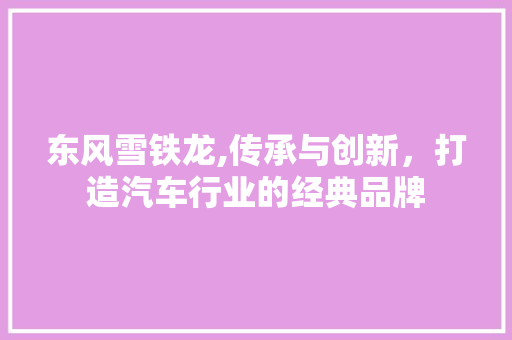 东风雪铁龙,传承与创新，打造汽车行业的经典品牌