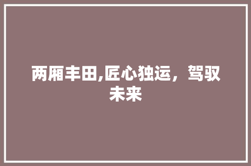 两厢丰田,匠心独运，驾驭未来