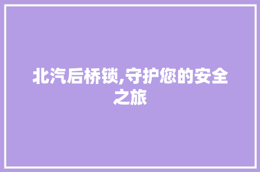 北汽后桥锁,守护您的安全之旅