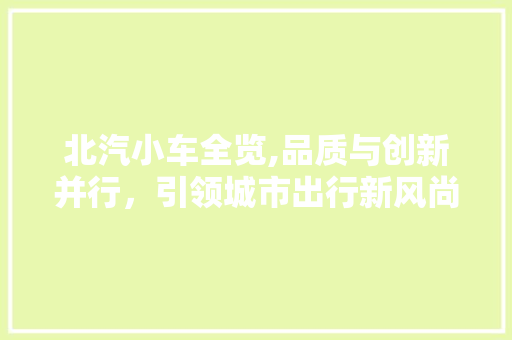 北汽小车全览,品质与创新并行，引领城市出行新风尚
