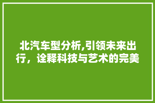 北汽车型分析,引领未来出行，诠释科技与艺术的完美结合