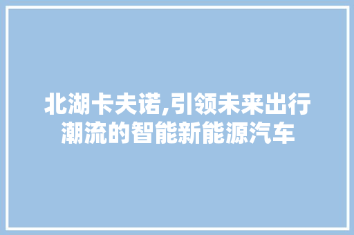 北湖卡夫诺,引领未来出行潮流的智能新能源汽车