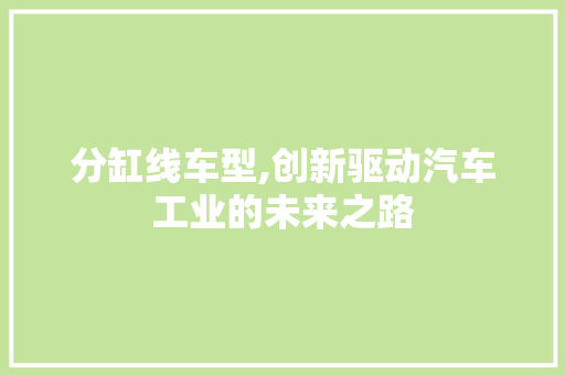 分缸线车型,创新驱动汽车工业的未来之路