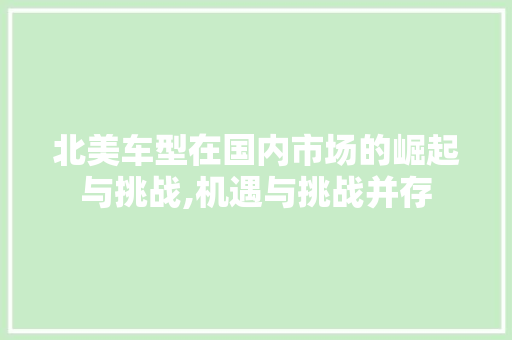 北美车型在国内市场的崛起与挑战,机遇与挑战并存