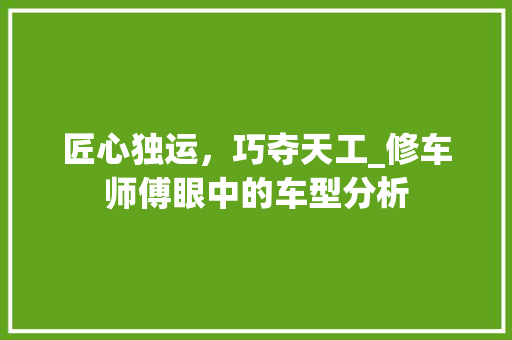 匠心独运，巧夺天工_修车师傅眼中的车型分析