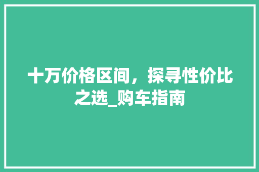 十万价格区间，探寻性价比之选_购车指南
