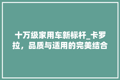 十万级家用车新标杆_卡罗拉，品质与适用的完美结合
