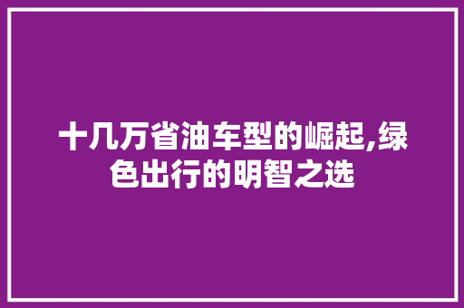 十几万省油车型的崛起,绿色出行的明智之选