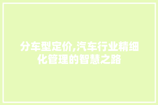 分车型定价,汽车行业精细化管理的智慧之路