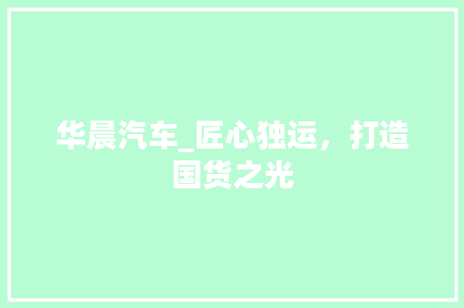 华晨汽车_匠心独运，打造国货之光